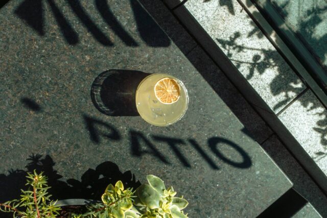 Overhead view of a citrus-garnished cocktail on a dark table surrounded by dramatic plant and window shadows.